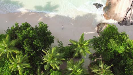 Bird-eye-drone-shot-of-middle-age-man,-running-on-white-sandy-beach,-large-granite-stone,-trees-and-waves-crashing-on-the-shore,-Mahe-Seychelles-60-fps-1