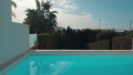 Serene-villa-pool-with-palm-trees-and-seagull