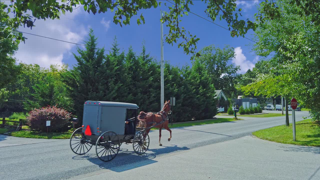 An Amish Horse and Buggy Traveling Down a Country Road on a Sunny Summer Day