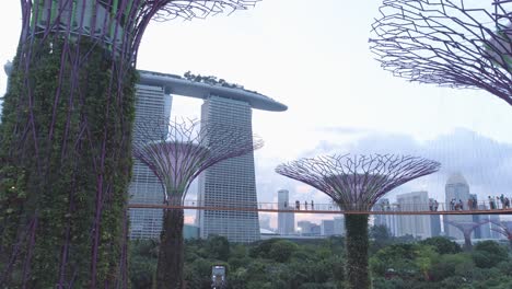 gardens by the bay supertree grove at dusk with skyway