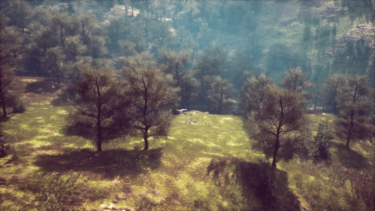 paisaje de valle forestal