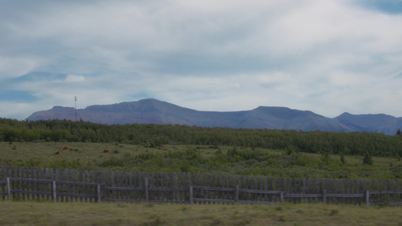 Conduire à travers les paysages du sud de l'Alberta, Canada
