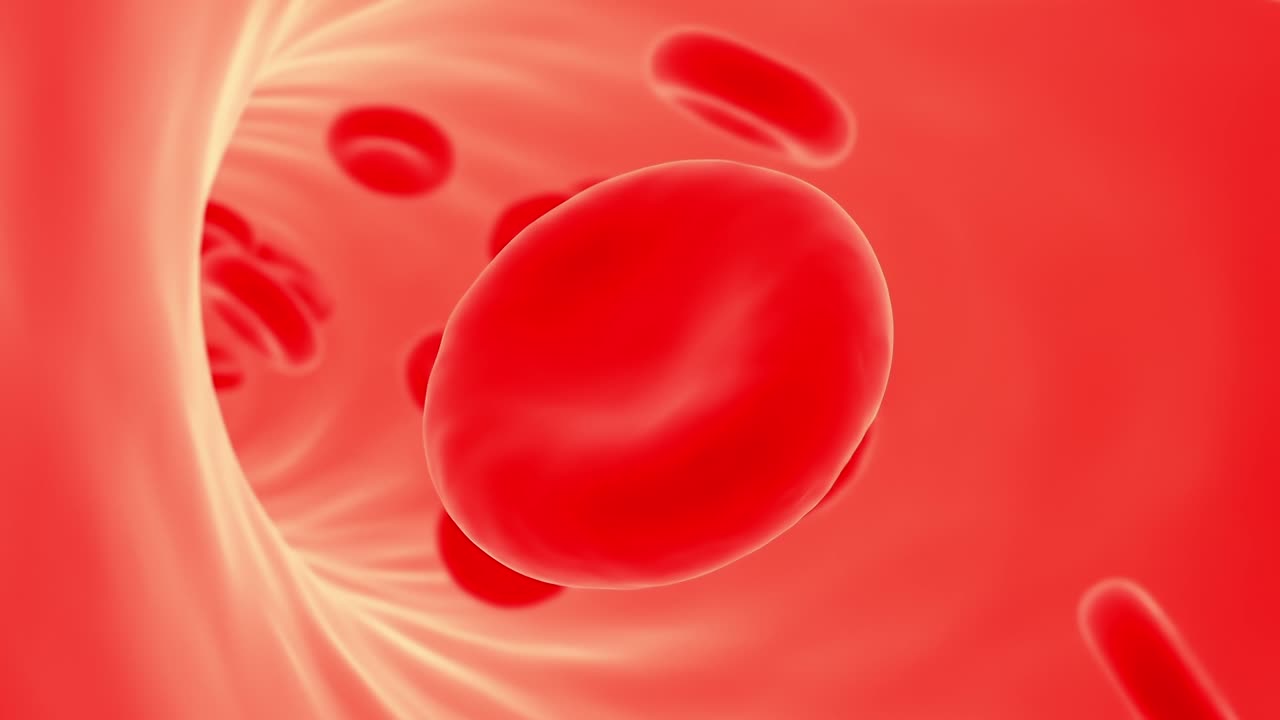 정맥에 있는 적혈구