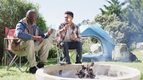 happy african american father and son toasting marshmallows over campfire, copy space, slow motion