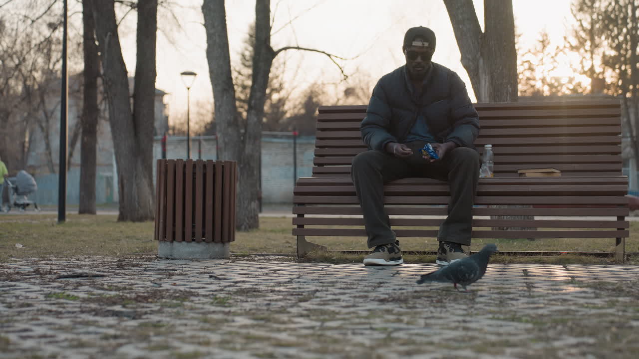 Man in dark jacket and cap sits on park bench at sunset feeding pigeon, holding snack in hand, juice bottle and book beside him, calm urban park scene with trees and blurred people in background