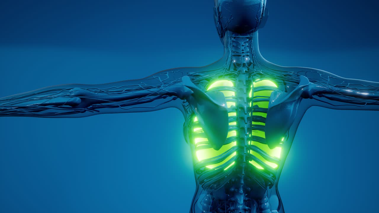 인간의 폐 방사선 검사