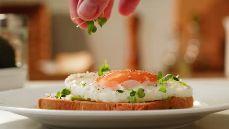 avocado toast with egg and microgreens