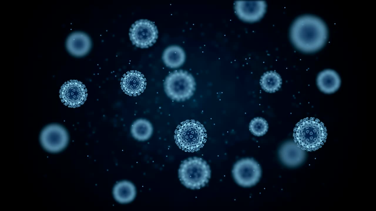 4K. Seamless loop. Human bacterial cell or virus 3d generated view from microscope. Scientific molecular research.