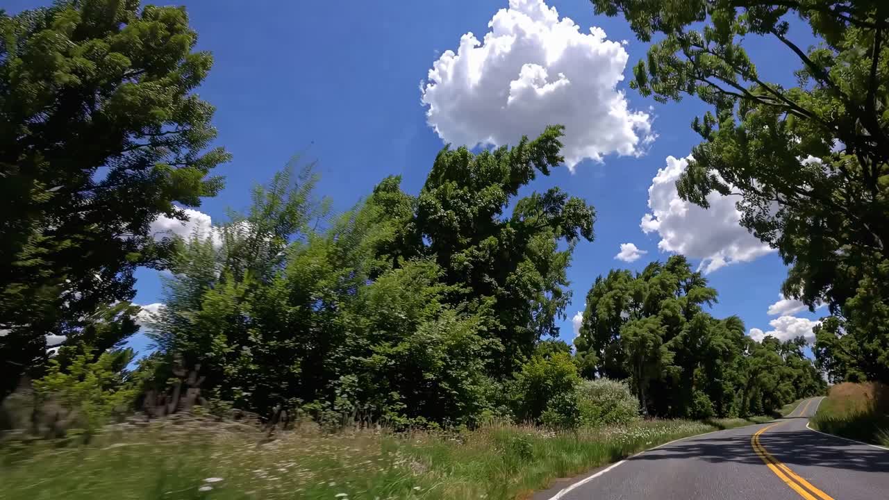 El vídeo muestra una carretera panorámica con exuberantes árboles desde un ángulo bajo, lo que enfatiza la intensidad del componente visual.