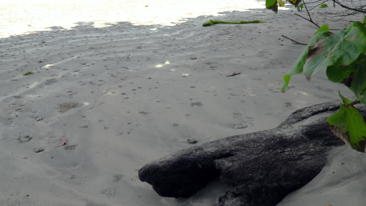 view of virgin beach with no body