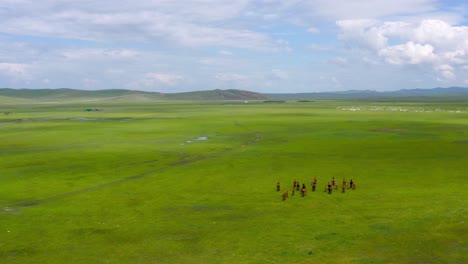 drone follows herd of wild horses running on mongolian grassland plains