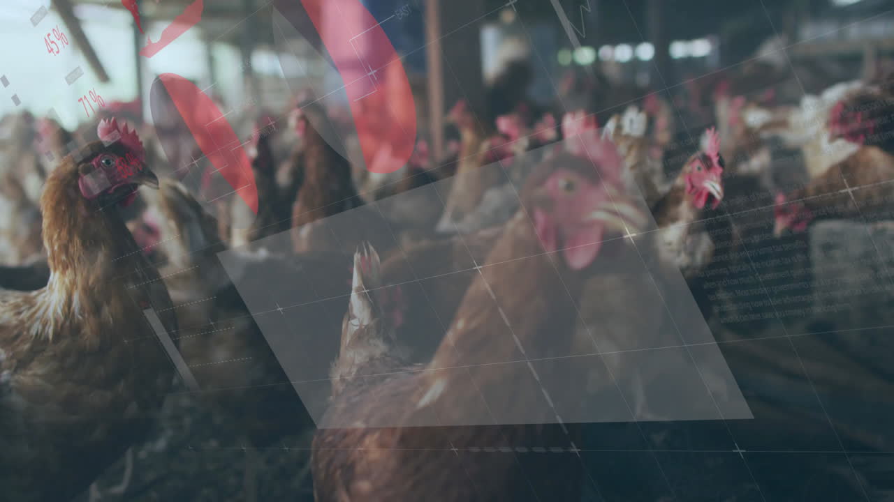 Brown hens moving around crowded barn floor under wooden beams and metal roof in 3D render