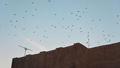 Una-Antigua-Casa-Emiratí-Tradicional-En-Al-Seef-Dubai-Con-Antiguos-Edificios-Y-Casas-Arquitectónicos-Emiratíes-Tradicionales