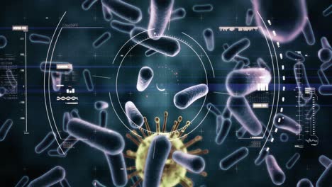 animación de las células del coronavirus macro covid-19 que se propagan