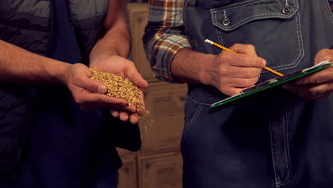 trabajadores de la cervecería comprobando la calidad de los granos cocidos