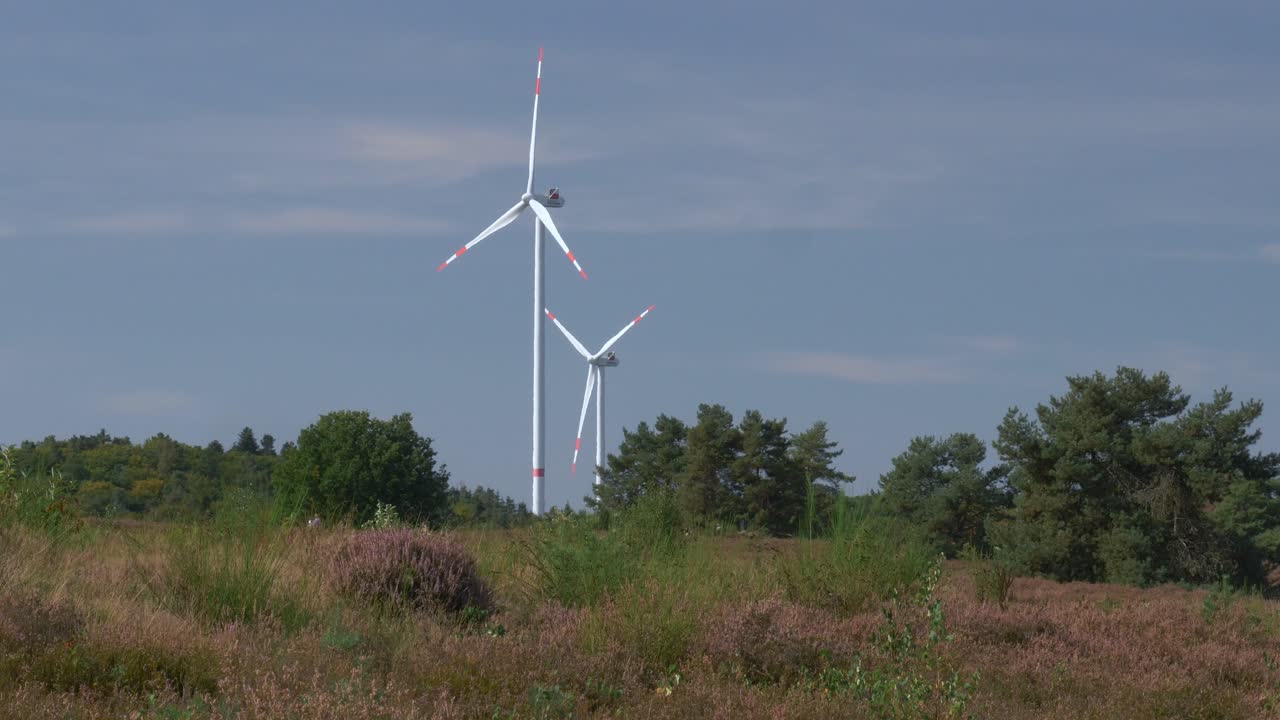 Turbine eoliche sopra Mehlinger Heath con alberi e brughiera sotto il cielo blu