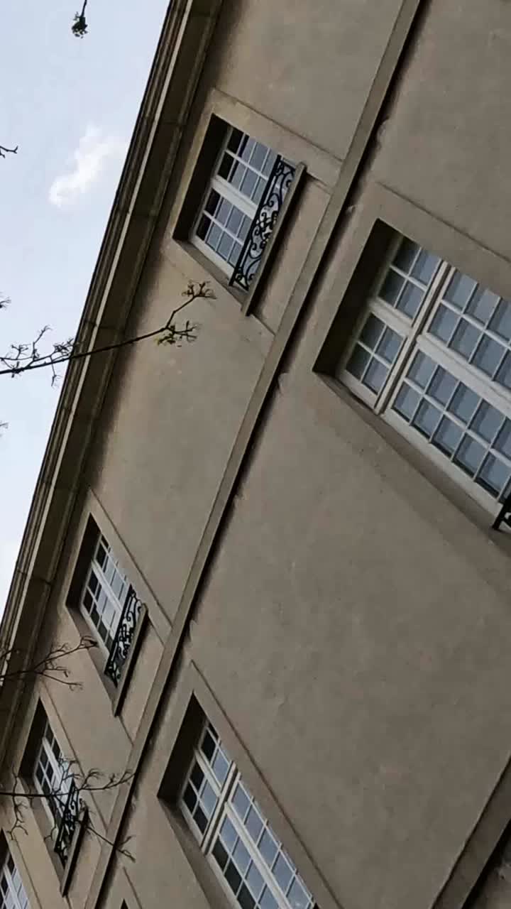 time-lapse de las ramas de los árboles contra un fondo de edificio