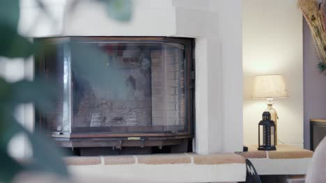 plan que revela una chimenea de una planta verde