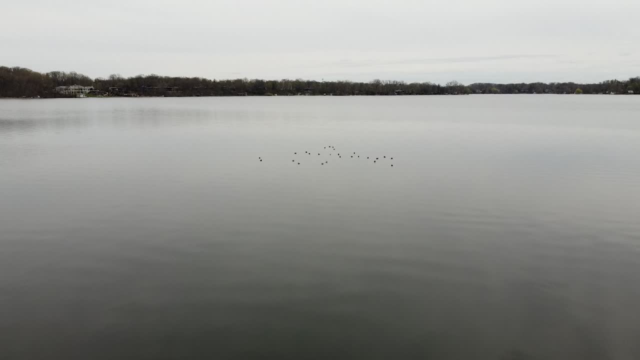 lago rebaños este grand rapids michigan drones imágenes aéreas