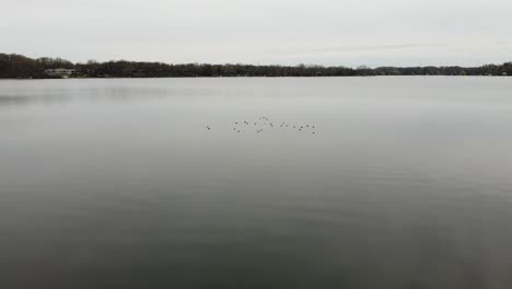 lago rebaños este grand rapids michigan drones imágenes aéreas
