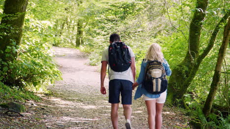 slow motion rear view shot of young couple hiking along woodland path in lake district uk together