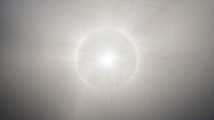 Shining Sun and circular halo brightening as thin clouds drifting in open sky, small bird entering