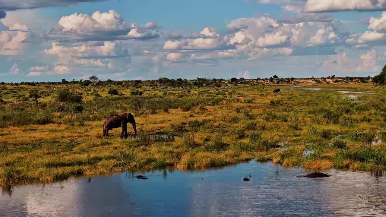 Um elefante africano parado em uma vasta paisagem de savana com um hipopótamo na água próxima.