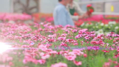 Animation-of-light-spots-over-two-caucasian-male-workers-in-garden