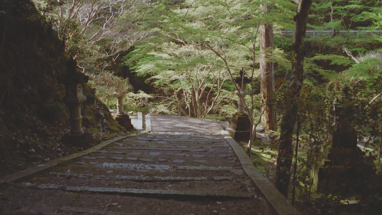 Stone Path Through a Japanese Forest