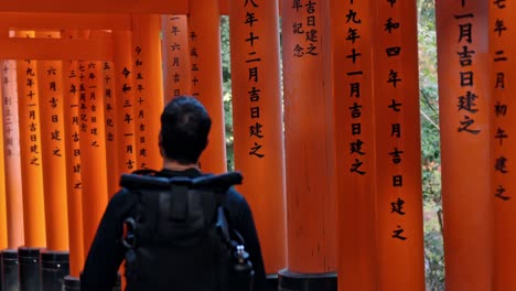 a traveler walks through the endless vermillion torii gates of fushimi inari shrine in kyoto, japan.