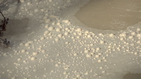 Bubbles-form-on-top-of-a-geothermal-pool