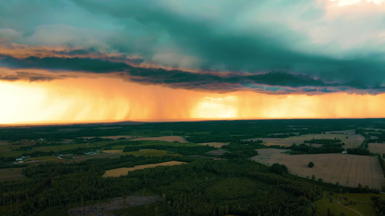 nubes sobre los árboles