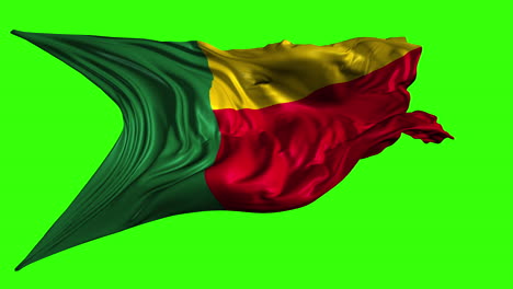 flag of benin