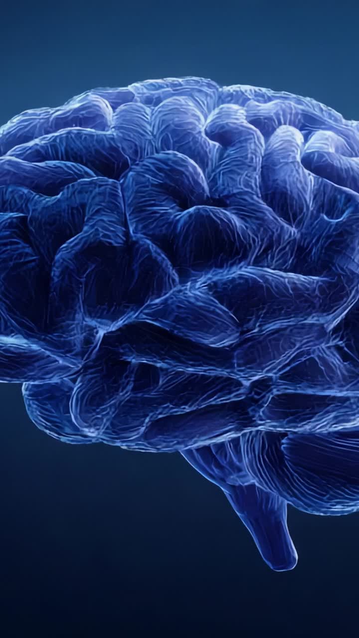Intricate Neural Structures: A Stunning Visualization of the Human Brain's Complex Architecture Through Captivating 3D Renderings