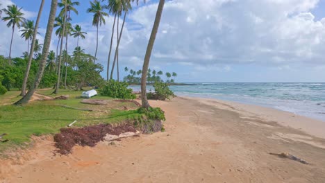 Tropical-paradise-in-Caribbean---palm-fringed-beach-of-Los-Coquitos