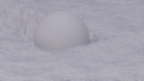 3d rolling snowball close-up