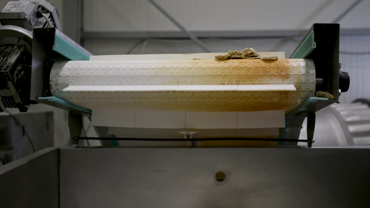 disparo de cerca de un chip de grano cayendo de un transportador