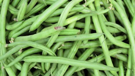 fresh-organic-green-beans-from-farm-close-up-from-different-angle