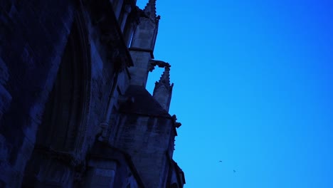 swallows fly through the air behind a church in france