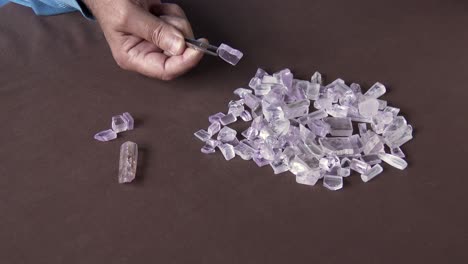 A-parcel-of-rough-Spodumene-being-sorted-for-Kunzite,-close-up