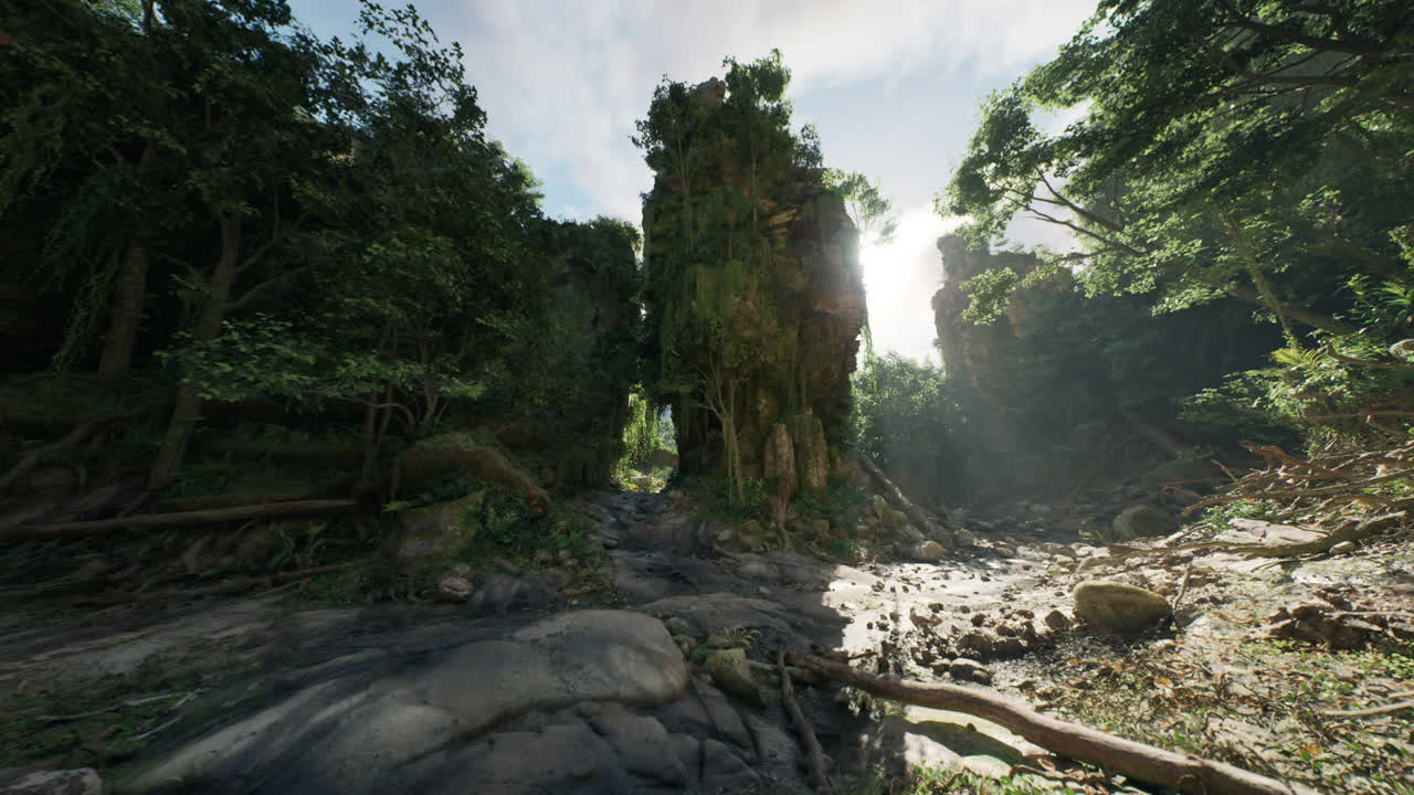 울창한 열대우림을 가로질러 신비로운 바위 형태로 이어지는 길입니다.