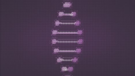 Animation-of-telescope-school-icon-and-dna-strand-on-purple-background