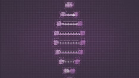 animation of telescope school icon and dna strand on purple background