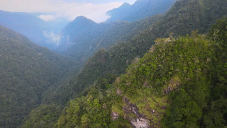 paisaje de colinas densamente boscosas contra el cielo brumoso en flores, indonesia