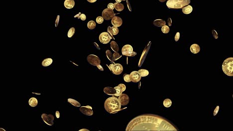 3d golden coins with btc bitcoin sign raining down green screen loop animation background blockchain