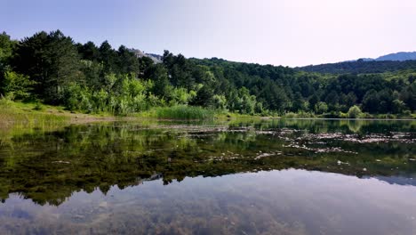 a serene view of a tranquil lake in crimea, reflecting the surrounding lush forest under a clear blue sky