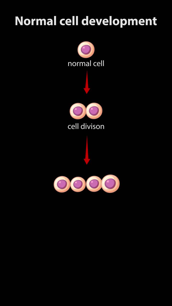 Animated vector shows a normal cell dividing into organized healthy tissue layers on black background