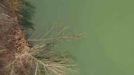 aerial – cinematic slider overhead shot from right to left above a lake with islands and herons