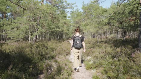 Una-Mujer-Deambula-Por-Un-Bosque-Y-Un-Brezal,-Mientras-La-Cámara-La-Sigue.