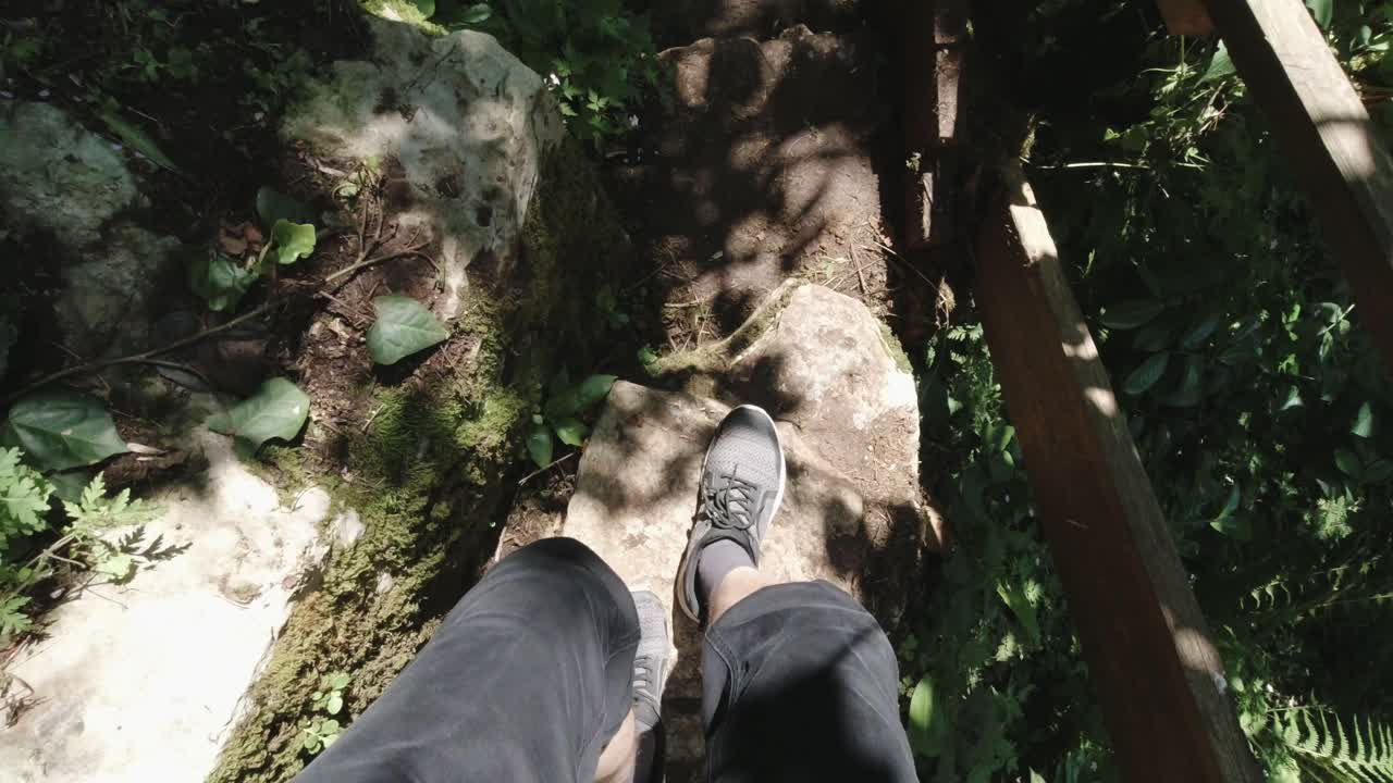 Hiking Trail Through Nature